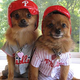 Illustration for article titled Two Phillie Dogs To Go, Please